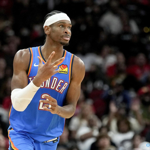 家队的长期 家队的长期